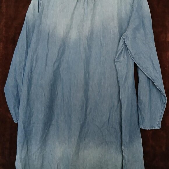 Tantrums Denim Dress w/Beaded Neckline - Picture 4 of 5